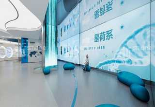 重庆机器人装箱机码垛机费用