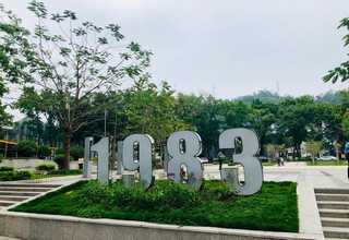 湖南成年走地鸡火锅